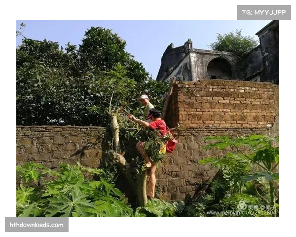 战术板曝光：狼队主帅在补水时间向球员详细绘制新的4-4-防守站位图